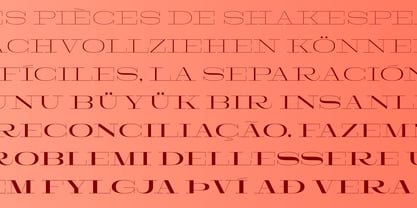 Larga High Font Poster 2